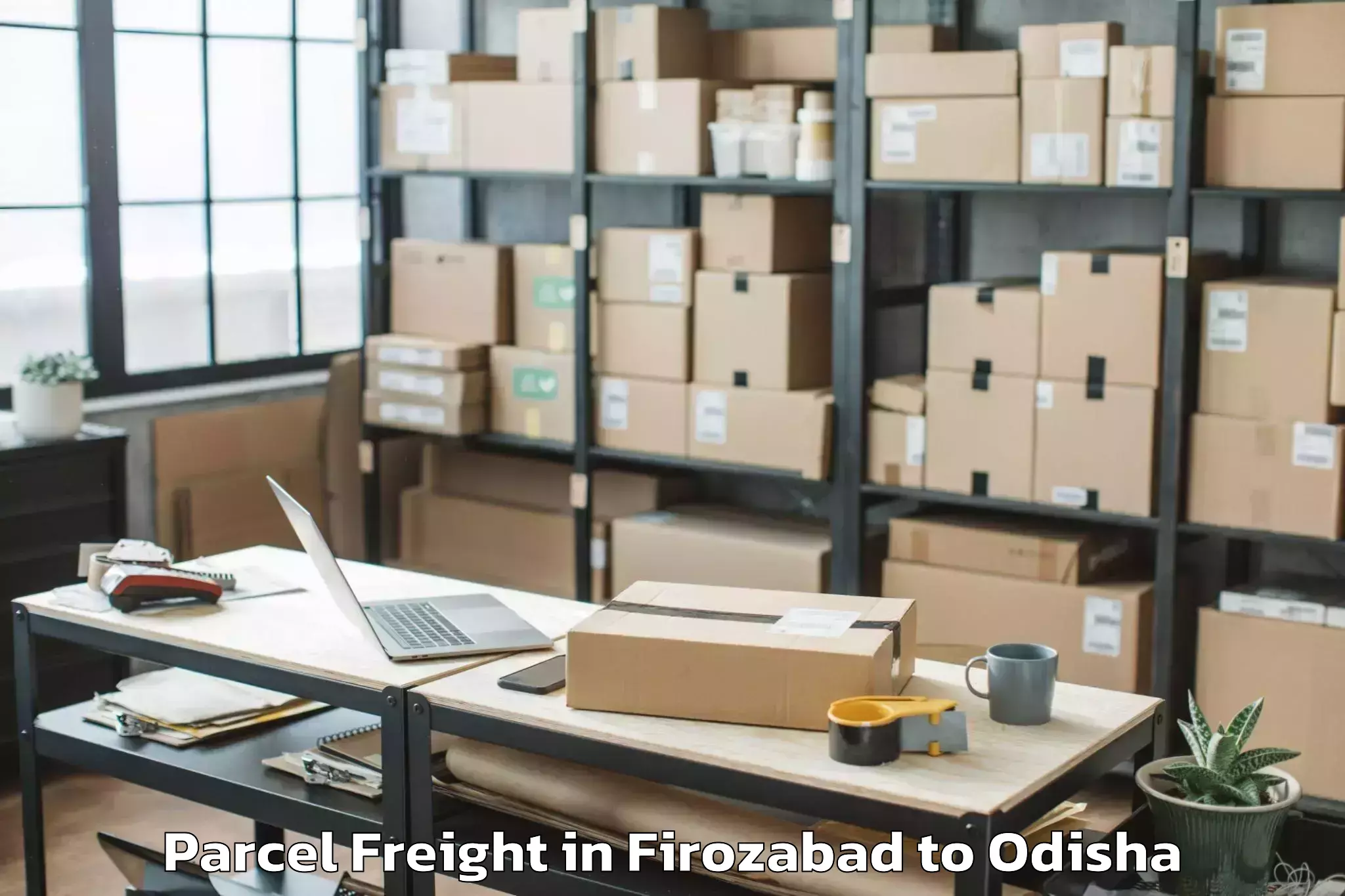 Reliable Firozabad to Bampada Parcel Freight